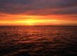 Dark red and Orange lat Sunset on the Chester River
